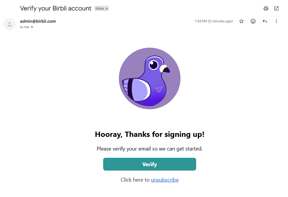 Email verification screen